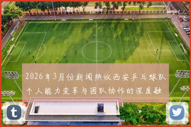 2026年3月份新闻热议西安乒乓球队个人能力变革与团队协作的深度融合探讨